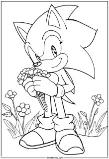 Sonic picking wild flowers