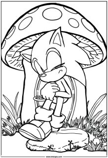 Sonic sitting under a big mushroom